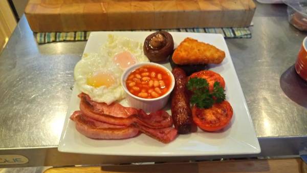 Camellia Lodge Guest House