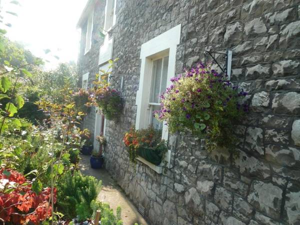 The Owls Crest House B&B