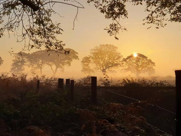 Argyll House Bed and Breakfast
