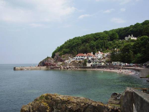 Babbacombe Palms