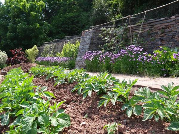 The Old Dairy at Bishops Barton