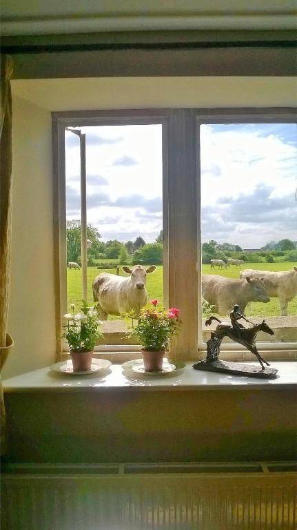 Battens Farm Cottages B&B