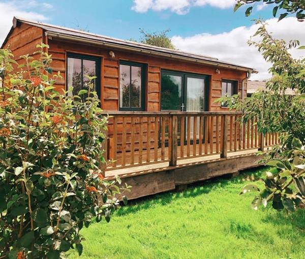 The Holford Arms Chalets and Glamping