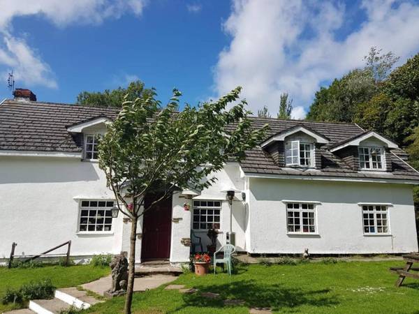 Coynant Farm Guesthouse - Farm Park Stay