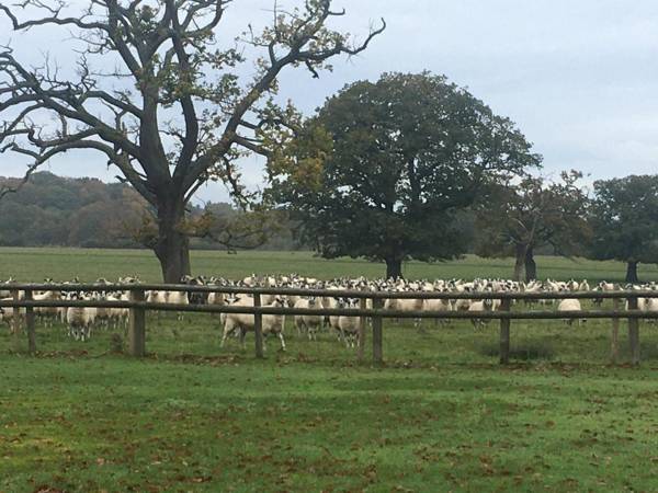 Private Entry Double bedroom with beautiful views!