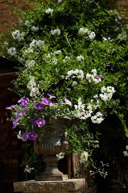 Richmond Lane Guest House - AA Accredited