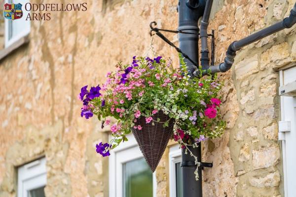 The Oddfellows Arms