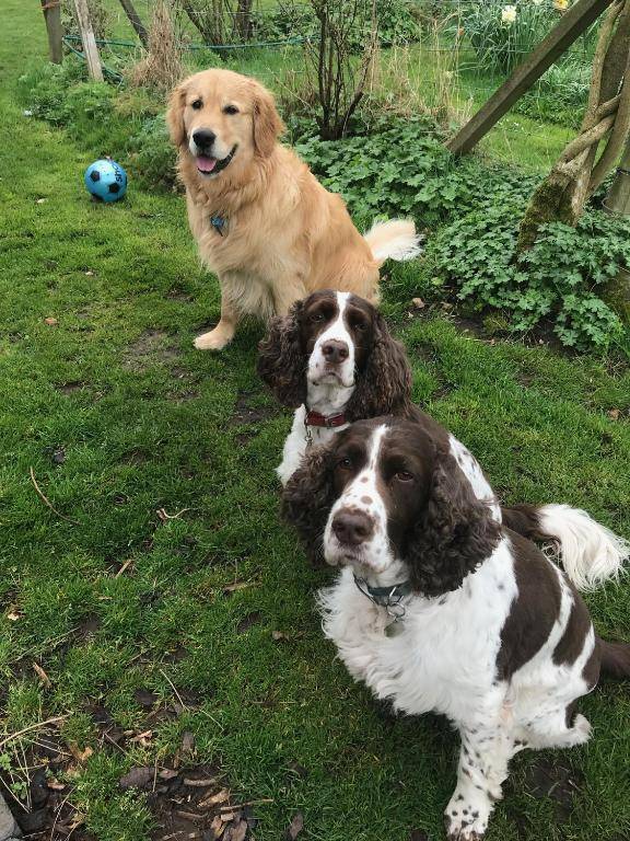 The Old Stables Bed & Breakfast