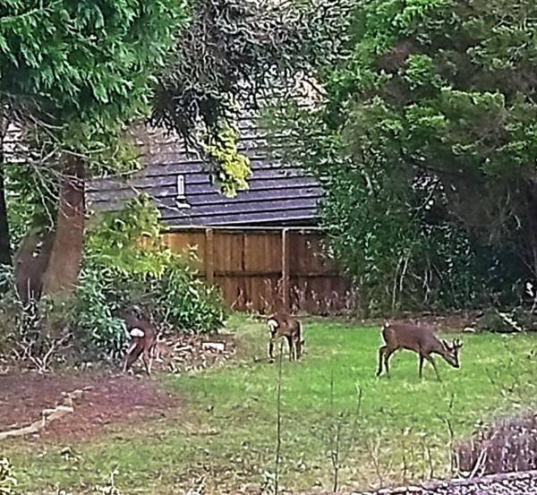 Heatherlie House Hotel