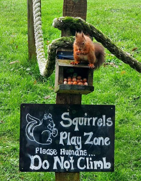 Chalet 87 Sandown Bay Holiday Centre