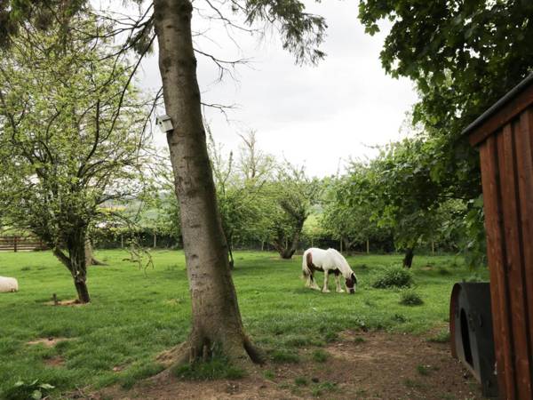 The Stable Sedbury Park Farm