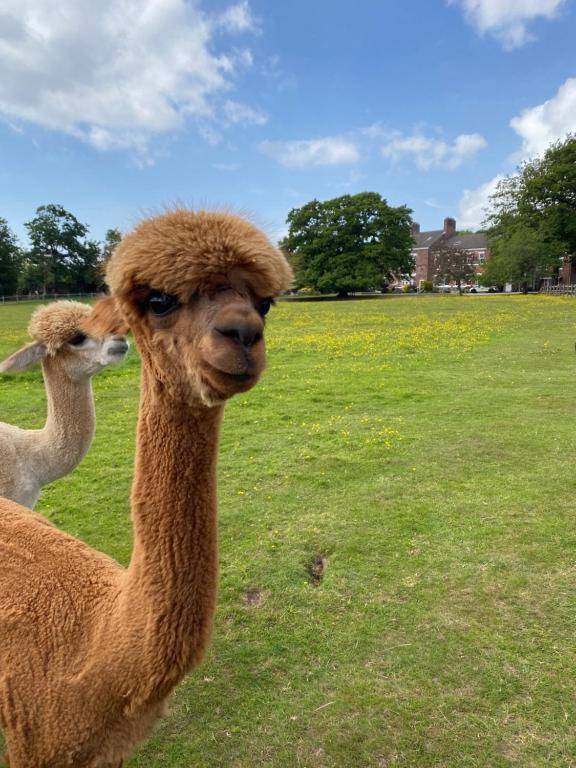 Singleton Lodge Country House Hotel