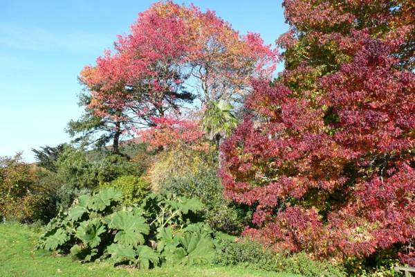 Luxury Bed And Breakfast at Bossington Hall in Exmoor Somerset