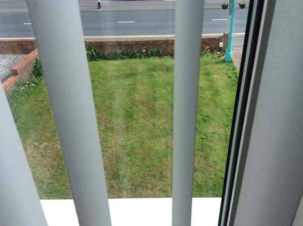 Alma Lodge Guest House