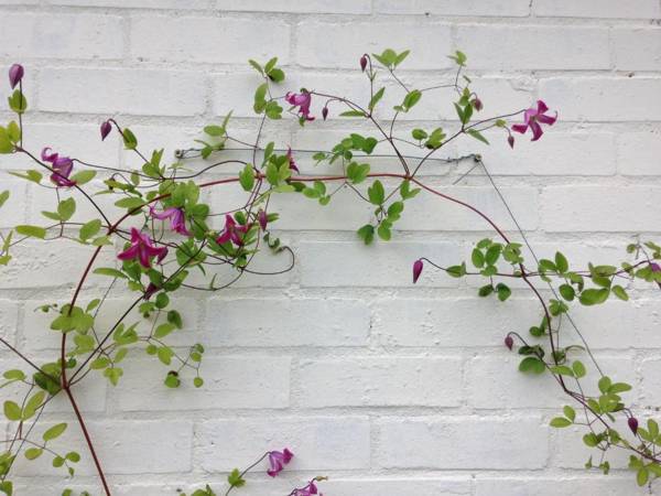 Over Studio Apartment