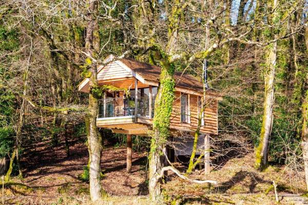 The Tree House - Eco-Friendly Back to Nature Experience