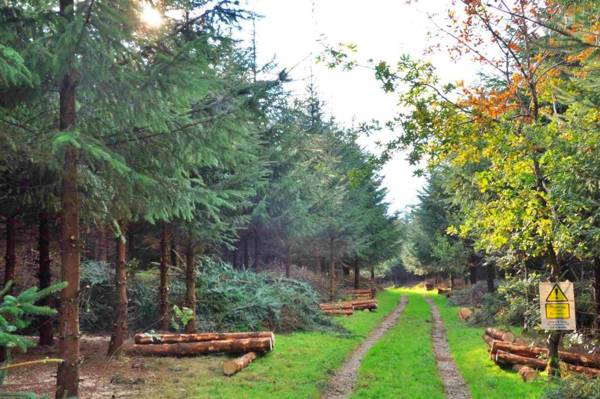 Pastures Green Cabin