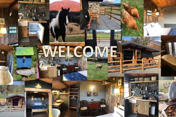 Beautiful 1-Bed Cabin in Newton Stewart