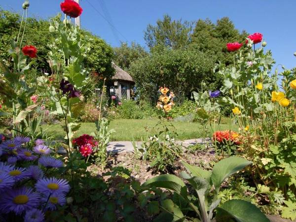 Appletree Cottage Newton Abbot