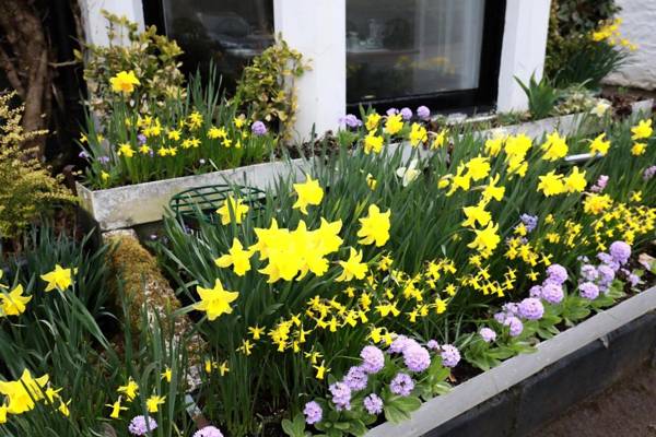 Rockhill Guest House