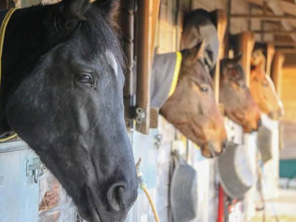 Hanging Hill Farm Cottage