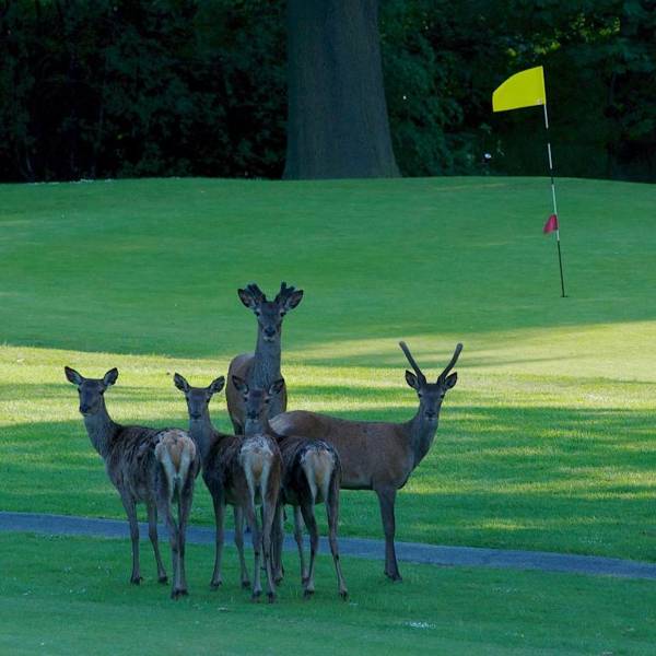 Shrigley Hall Hotel