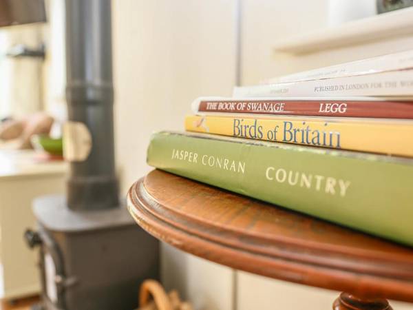 Russet MARTIN (Near New Forest)