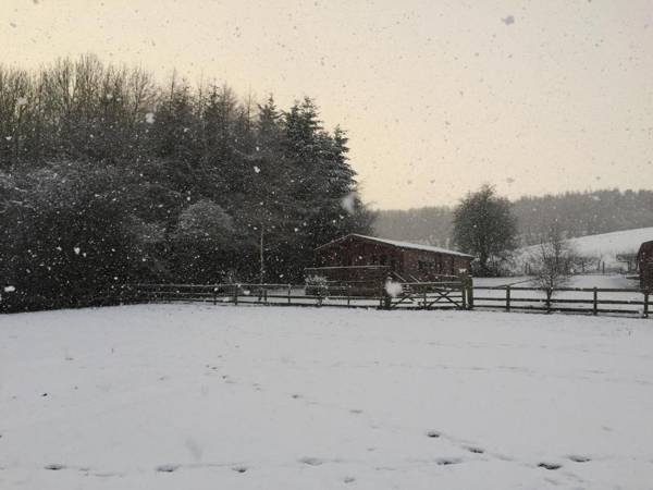 Long Mountain Centre Log Cabins