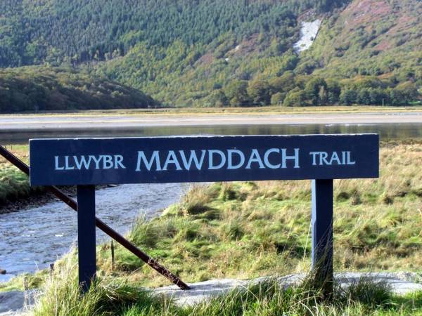 Showman's Wagon at Coed Cae