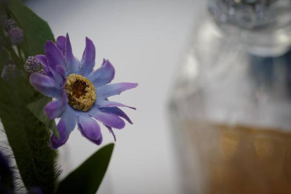 Clifton Bespoke Serviced Apartments