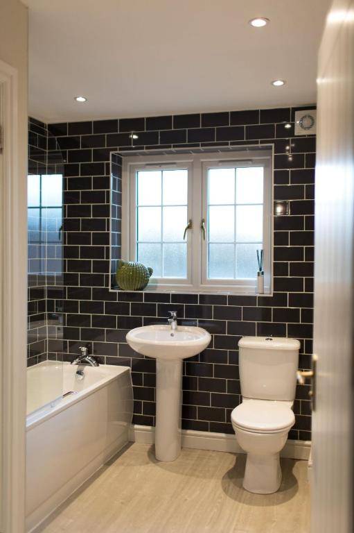 The Dog in Over Peover