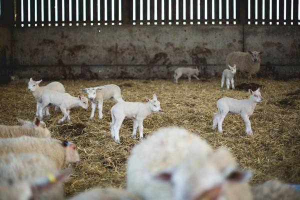 The Tens at Owen House Farm