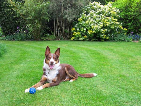 St Jude's Bed & Breakfast