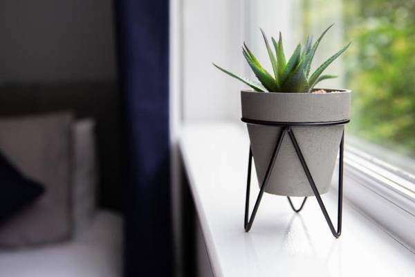 St Andrews Guest House