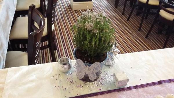 The Old Times Guest House