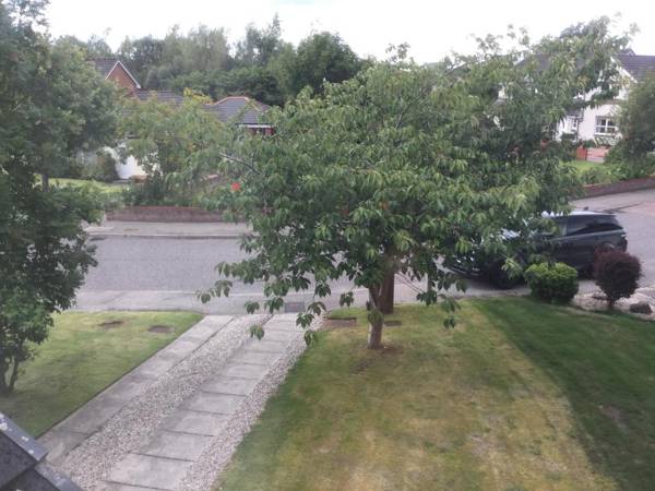 Castle Heather House