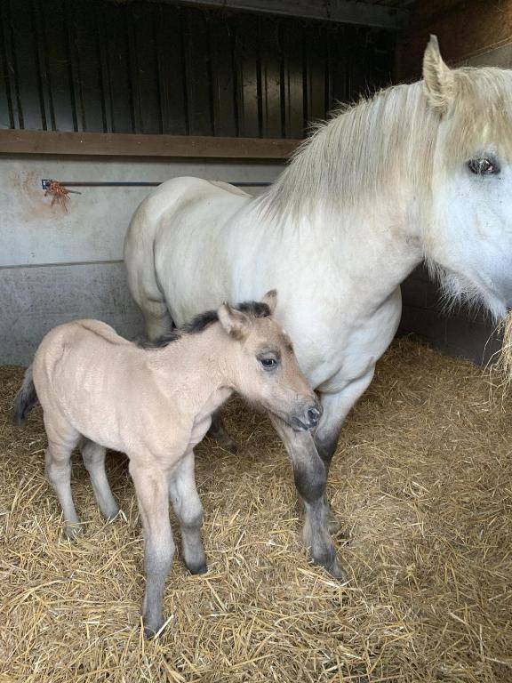 Remarkable 1-Bed Apartment in Huntingdon