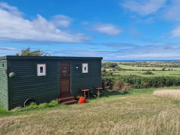Stunning 1-Bed shepherd hut in Holyhead