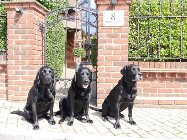 Millers House Boutique B&B