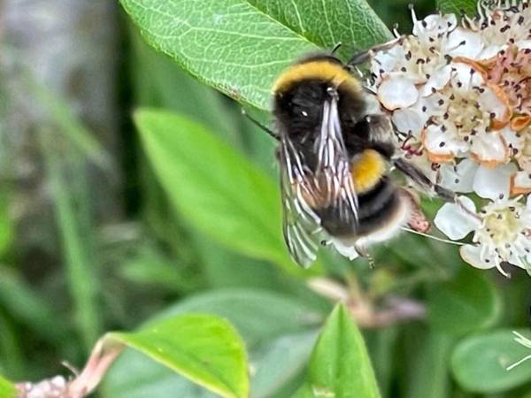 Inviting 4 Berth caravan in Hebden Bridge