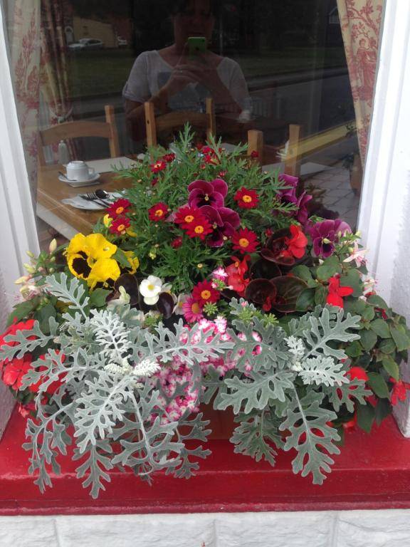 Rembrandt Guest House