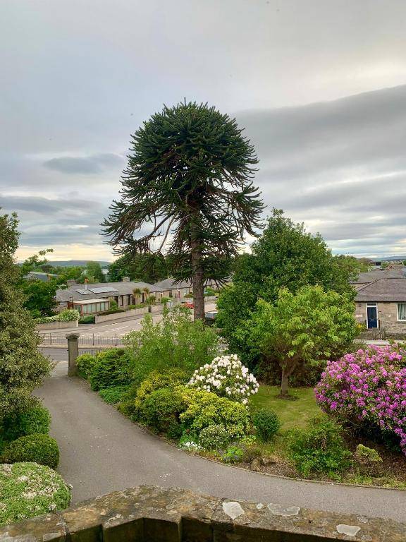 The Pines Guest House