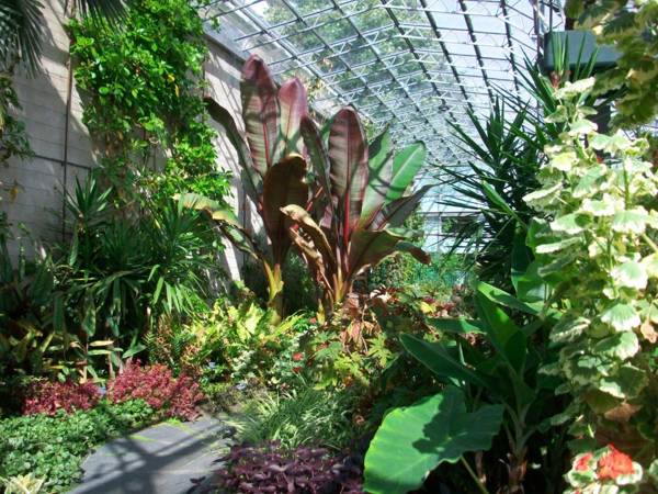 Carnegie Holiday Cottage