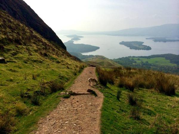 Dunroamin Bed & Breakfast