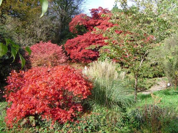 The Clock House Harford