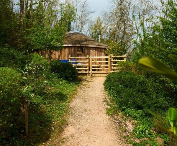 Pheasant Treehouse