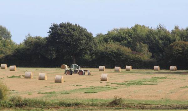 Hunston Mill Self Catering