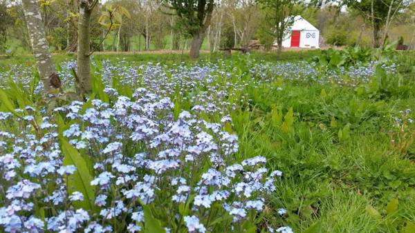 Plush Tents Yurt Village