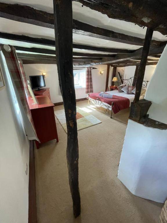 Bere Cottrage -Beamed 400 year old cottage giving you a taste of the Garden of England