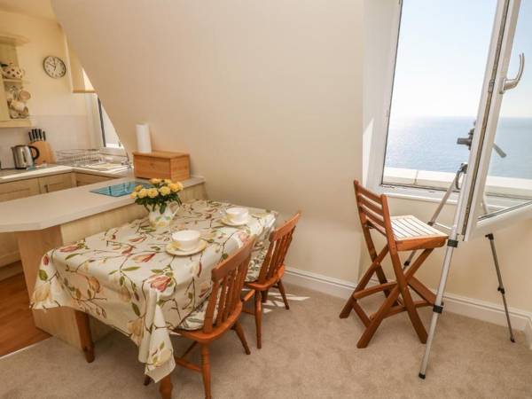 Gannet Watch Coverack